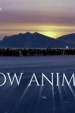 Watch Snow Animals Movie2k