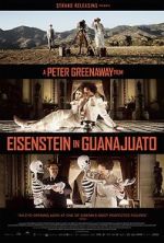 Watch Eisenstein in Guanajuato Movie2k