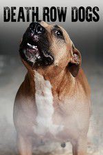Watch Death Row Dogs Movie2k