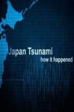 Watch Japan Tsunami: How It Happened Movie2k