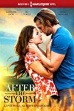 Watch After the Storm Movie2k