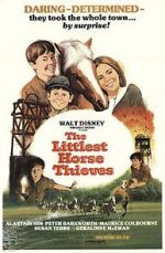 Watch The Littlest Horse Thieves Movie2k