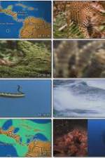 Watch National Geographic: Worlds Deadliest Animals - North America Movie2k