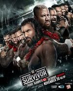 Watch WWE Survivor Series WarGames (TV Special 2024) Movie2k