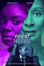 Watch The Perfect Mother Movie2k