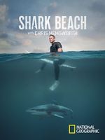 Watch Shark Beach with Chris Hemsworth (TV Special 2021) Movie2k