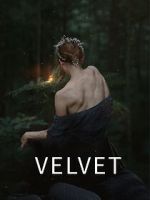 Watch Velvet Movie2k