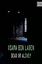Watch The Final Report Osama bin Laden Dead or Alive Movie2k