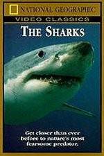 Watch National Geographic The Sharks Movie2k
