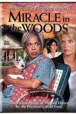 Watch Miracle in the Woods Movie2k