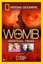 Watch National Geographic: In the Womb - Identical Twins Movie2k