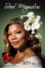 Watch Steel Magnolias Movie2k