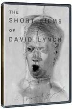 Watch The Short Films of David Lynch Movie2k