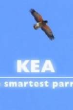 Watch Kea - The Smartest Parrot Movie2k