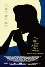 Watch You Will Meet a Tall Dark Stranger Movie2k