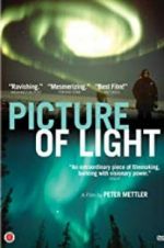 Watch Picture of Light Movie2k