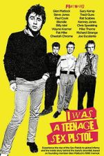 Watch I Was a Teenage Sex Pistol Movie2k