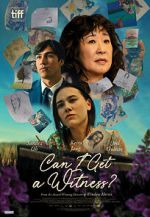 Watch Can I Get a Witness Movie2k