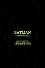Watch Batman: Taking Flight Movie2k