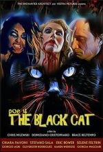 Watch POE 4: The Black Cat Movie2k