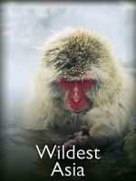 Watch Wildest Asia Movie2k