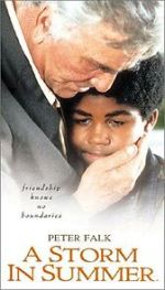 Watch A Storm in Summer Movie2k