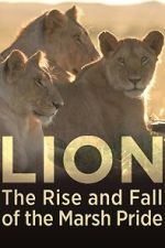 Watch Lion: The Rise and Fall of the Marsh Pride Movie2k