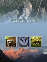 Watch Wilde Schweiz Movie2k