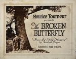 Watch The Broken Butterfly Movie2k