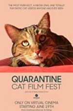 Watch Quarantine Cat Film Fest Movie2k