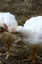 Watch Meet Your Meat Movie2k