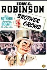 Watch Brother Orchid Movie2k