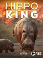 Watch Hippo King Movie2k