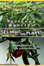 Watch National Geographic Wild: Sex Drugs and Plants Movie2k