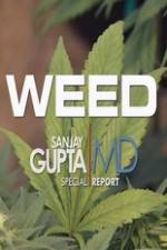 Watch CNN Weed Sanjay Gupta Report Movie2k