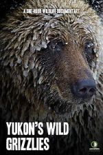 Watch Yukon\'s Wild Grizzlies Movie2k