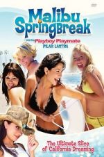 Watch Malibu Spring Break Movie2k