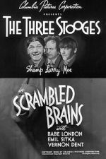 Watch Scrambled Brains Movie2k
