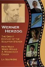 Watch Die gro�e Ekstase des Bildschnitzers Steiner Movie2k