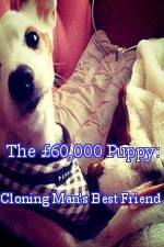 Watch The �60,000 Puppy: Cloning Man's Best Friend Movie2k