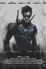 Watch Nightwing: The Series Movie2k