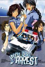 Watch You're Under Arrest Movie2k