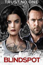 Watch Blindspot Movie2k