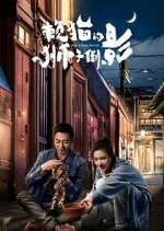 Watch The Lion's Secret Movie2k