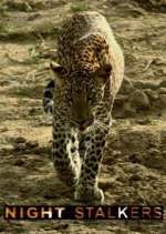 Watch Night Stalkers Movie2k