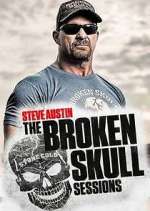 Watch Stone Cold Steve Austin: The Broken Skull Sessions Movie2k