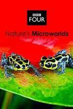 Watch Natures Microworlds Movie2k