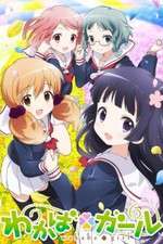 Watch Wakaba Girl Movie2k