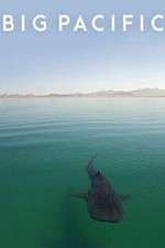 Watch Big Pacific Movie2k