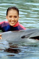 Watch Flipper (The New Adventures of Flipper) Movie2k